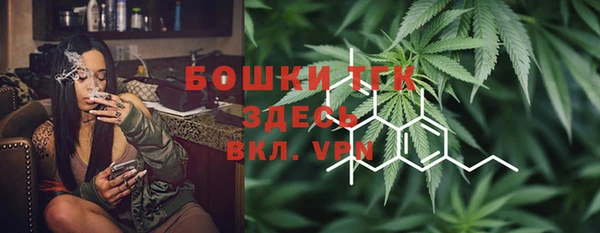 кокс Дмитриев