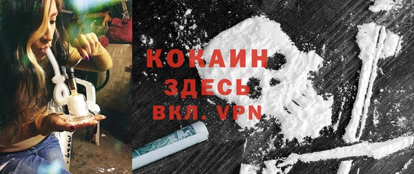 кокс Дмитриев