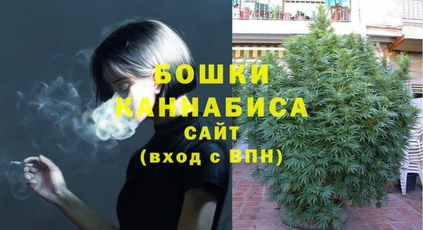 кокс Дмитриев