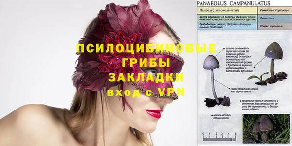 кокс Дмитриев