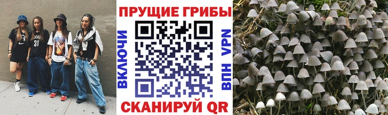 blacksprut зеркало  Пустошка  Галлюциногенные грибы ЛСД 